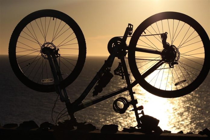 Tubeless or Tubed Tires for Cycling: Which is Best?